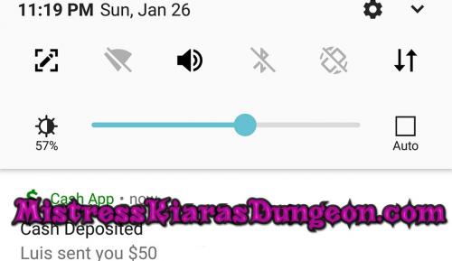 findom financial domination Mistress goddess worship tribute domme 12620