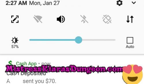 findom financial domination Mistress goddess worship tribute domme 12720-2