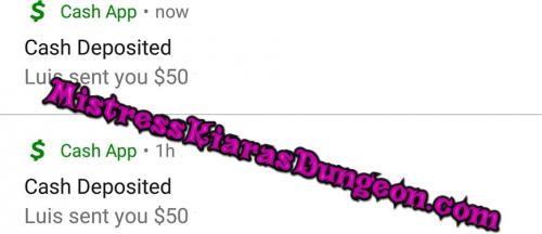 findom financial domination Mistress goddess worship tribute domme 12720-3