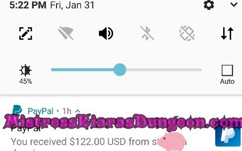 findom financial domination Mistress goddess worship tribute domme 13120-2