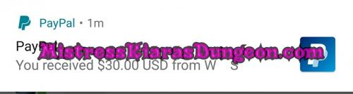 findom financial domination Mistress goddess worship tribute domme 21020