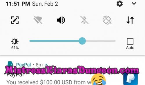 findom financial domination Mistress goddess worship tribute domme 2220