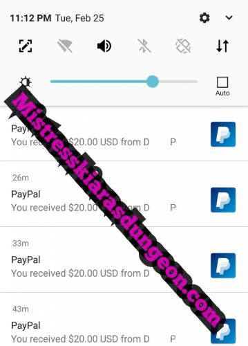 findom financial domination Mistress goddess worship tribute domme 22520