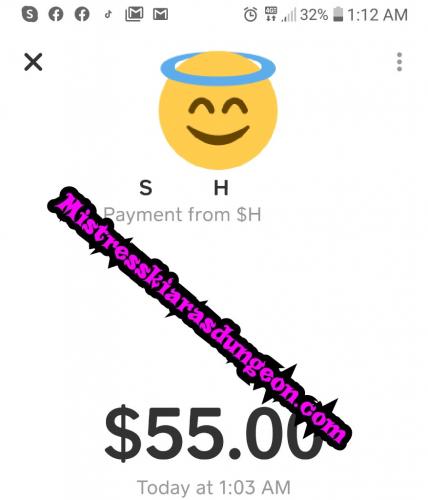 findom findomme financial domination mistress goddess worship tribute wallet rape 225