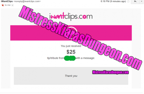 Findom Financial Domination Mistress tribute money slavery moneydomme