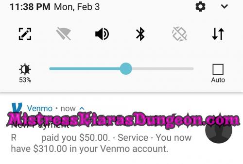 findom financial domination Mistress goddess worship tribute domme 2620