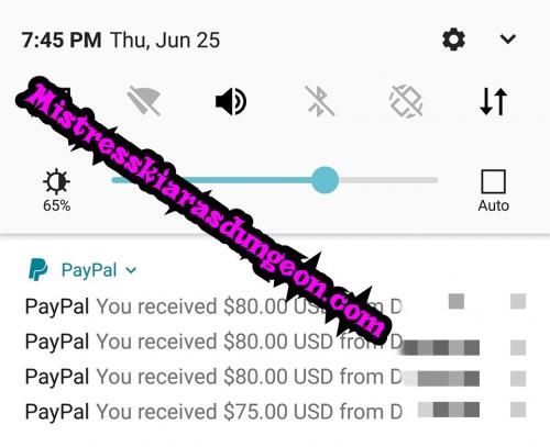 findom findomme financial domination mistress goddess worship tribute wallet rape 625