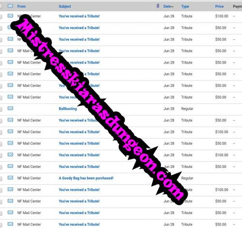 findom findomme financial domination mistress goddess worship tribute wallet rape 628