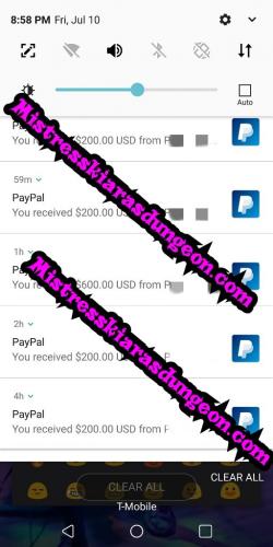 findom findomme financial domination mistress goddess worship tribute wallet rape 72020-5
