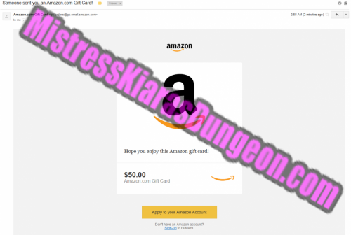 findom financial domination findomme Mistress Goddess tribute gifts