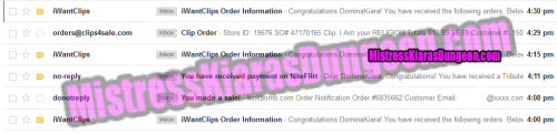 financial domination Mistress binge clip sales