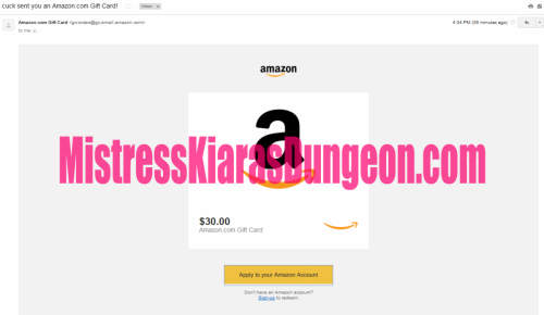 findom financial domination findomme Mistress Goddess tribute gifts