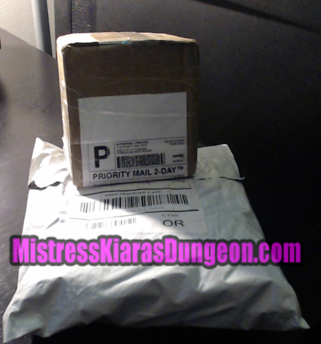 findom financial domination findomme Mistress Goddess tribute gifts