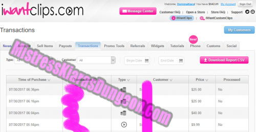 findom financial domination findomme Mistress Goddess tribute gifts